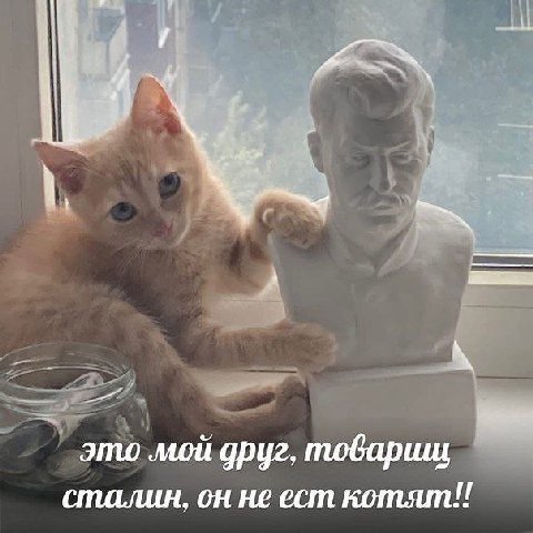 это мой друг, товариш сталин, он не ест