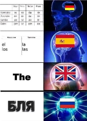 Fem. oer Accusative den Че cle (las der ative der feminine los las The у