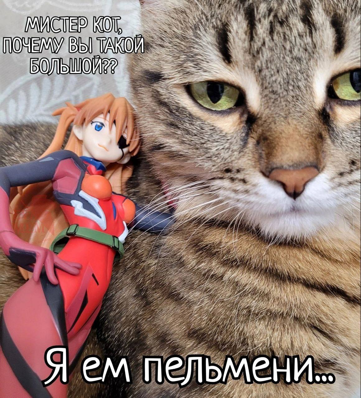 ПОЧЕМУ ВЫ ТАКОЙ ‚БОЛЬШОЙ Я