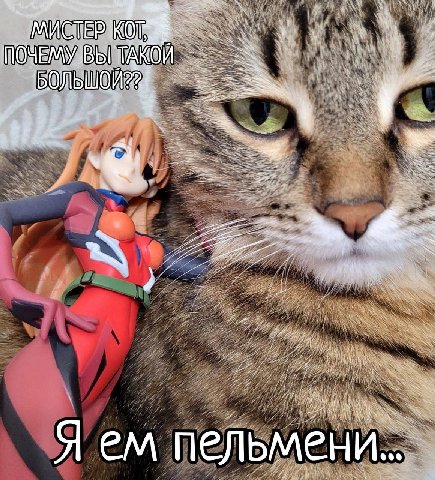ПОЧЕМУ ВЫ ТАКОЙ ‚БОЛЬШОЙ Я