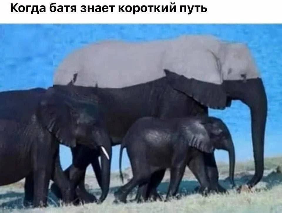 Когда батя знает короткий путь