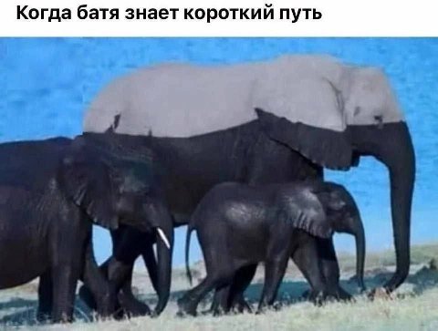 Когда батя знает короткий путь