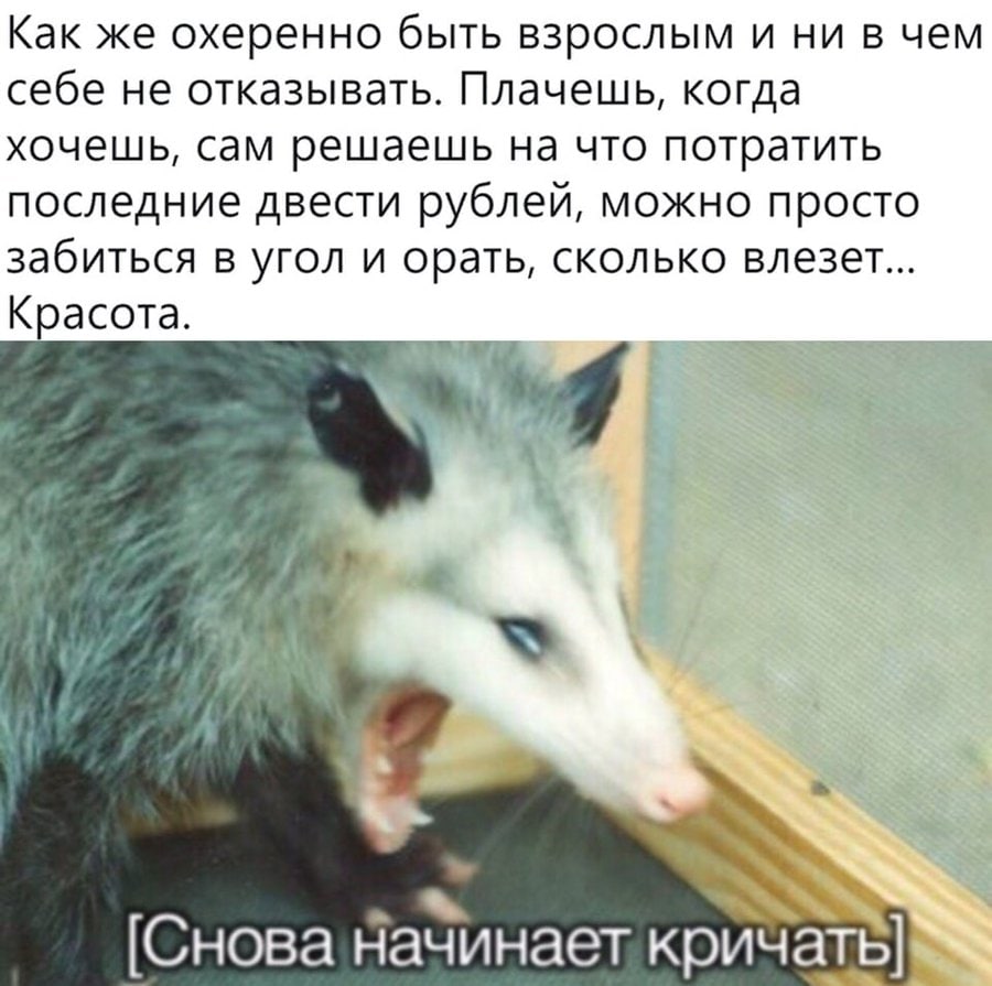 Как же охеренно быть взрослым и ни в чем себе не отказывать. Плачешь, когда хочешь, сам решаешь на что потратить последние двести рублей, можно просто забиться в угол и орать, сколько влезет... Красот