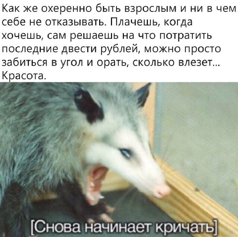 Как же охеренно быть взрослым и ни в чем себе не отказывать. Плачешь, когда хочешь, сам решаешь на что потратить последние двести рублей, можно просто забиться в угол и орать, сколько влезет... Красот
