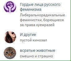 Гордые лица русского феминизма Либеральнорадикальные феминистки, борющиеся за права хуемразей И другие пустой кинозал всратые животные смешно и страшно