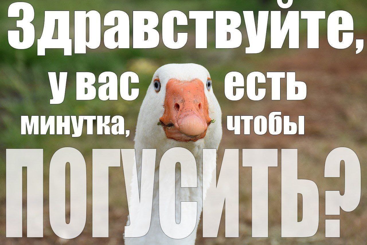 Здравствуйте ува минутка чтобы ‘ill nor