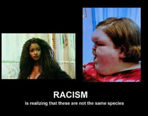 RACISM is realizing that these are not the same species