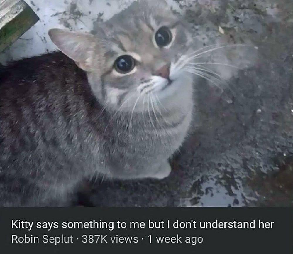 а Kitty says something to me but don't understand her Robin 387К views: 1 week aga