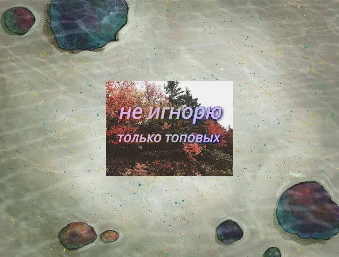 “0 5. ТОЛЬКО ТОПОВЫХ В iro
