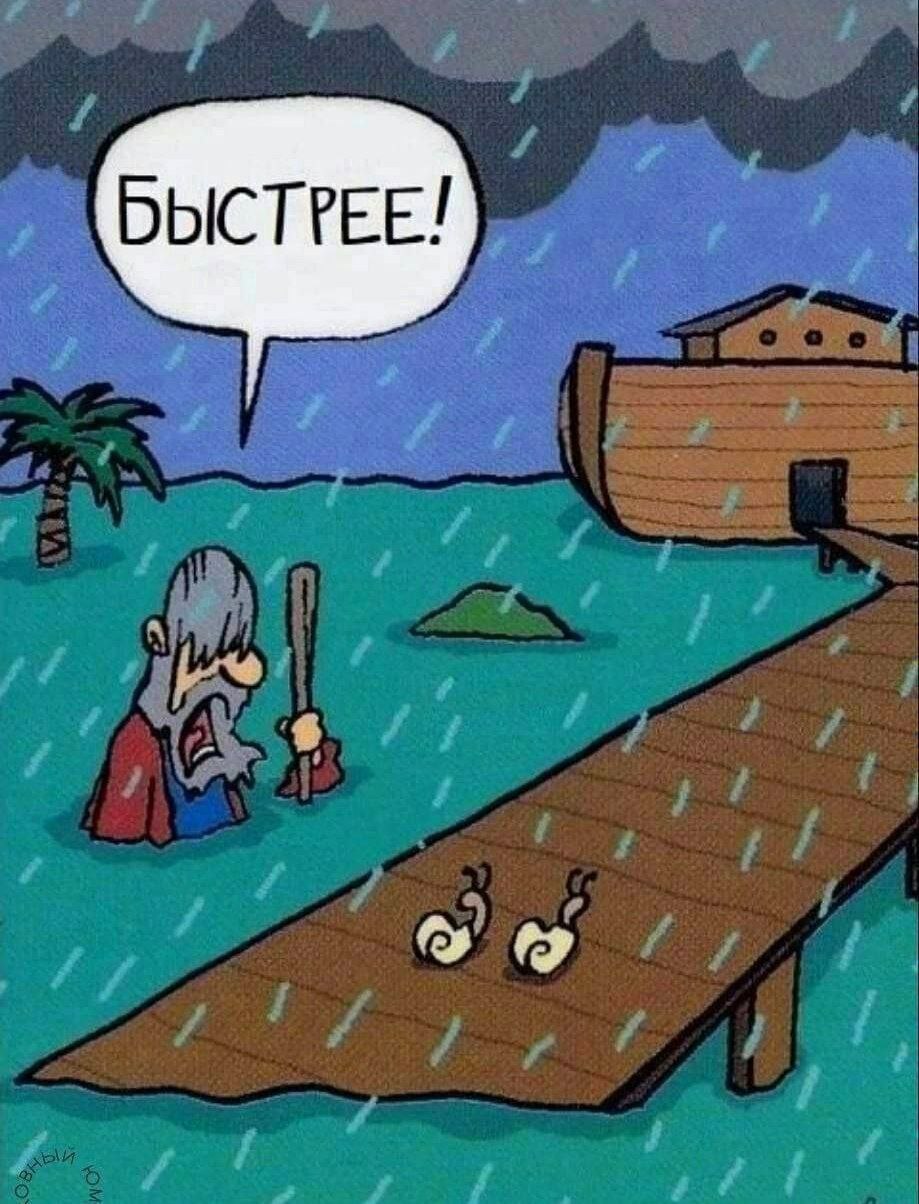 6 у