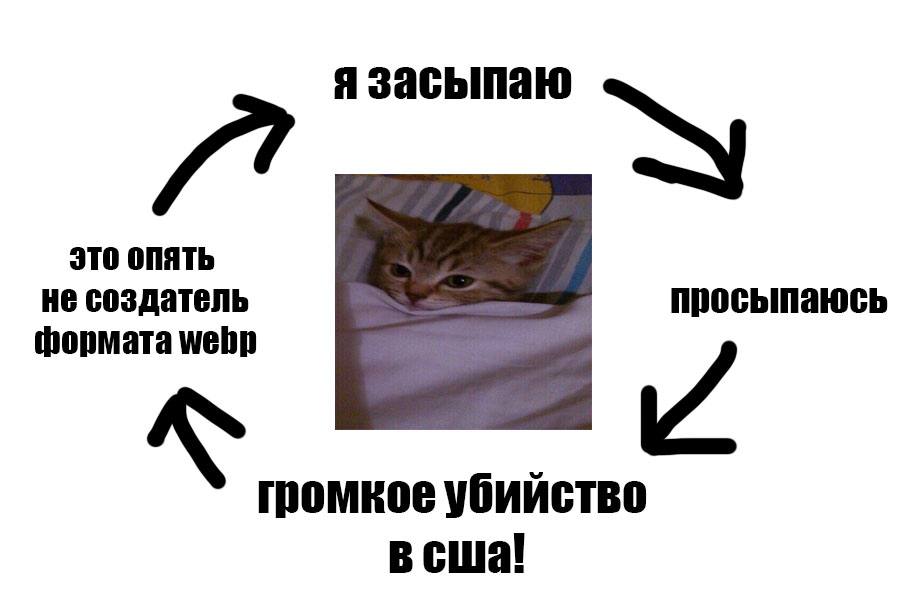 ормата webp засыпа сша!