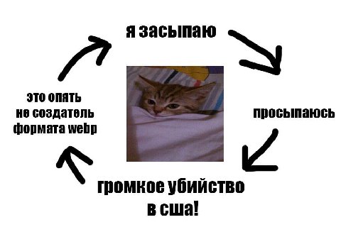 ормата webp засыпа сша!