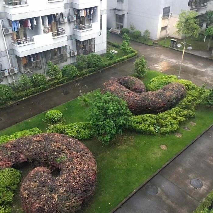 wuts и