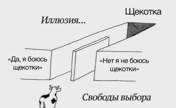 Иллюзия... «Да, я боюсь не боюсь щекотки» щекотки» Свободы выбора