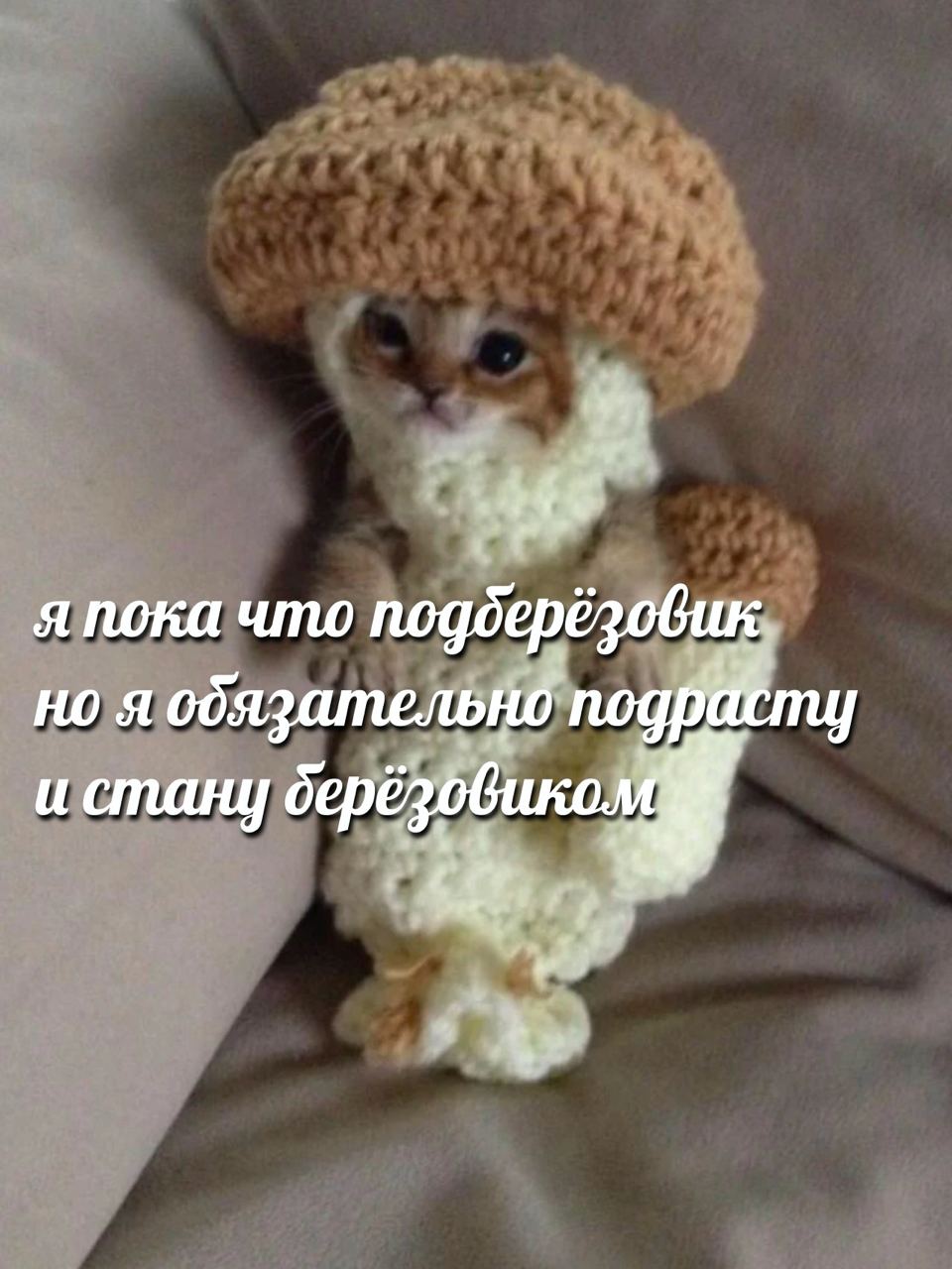 я пока что подберёзовик. но я и стану depé