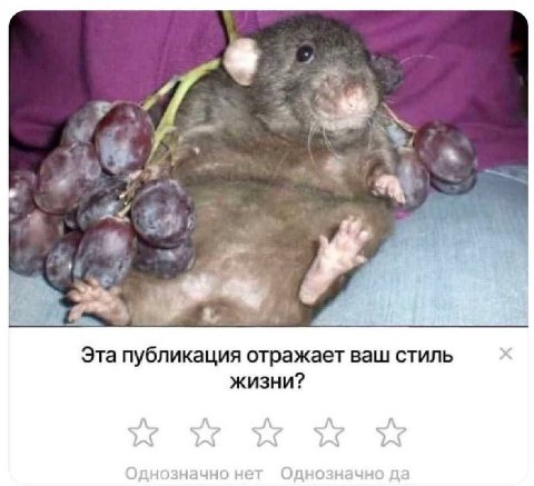 of 4 в Эта публикация отражает ваш стиль жизни? днозначно не ‚днозначн