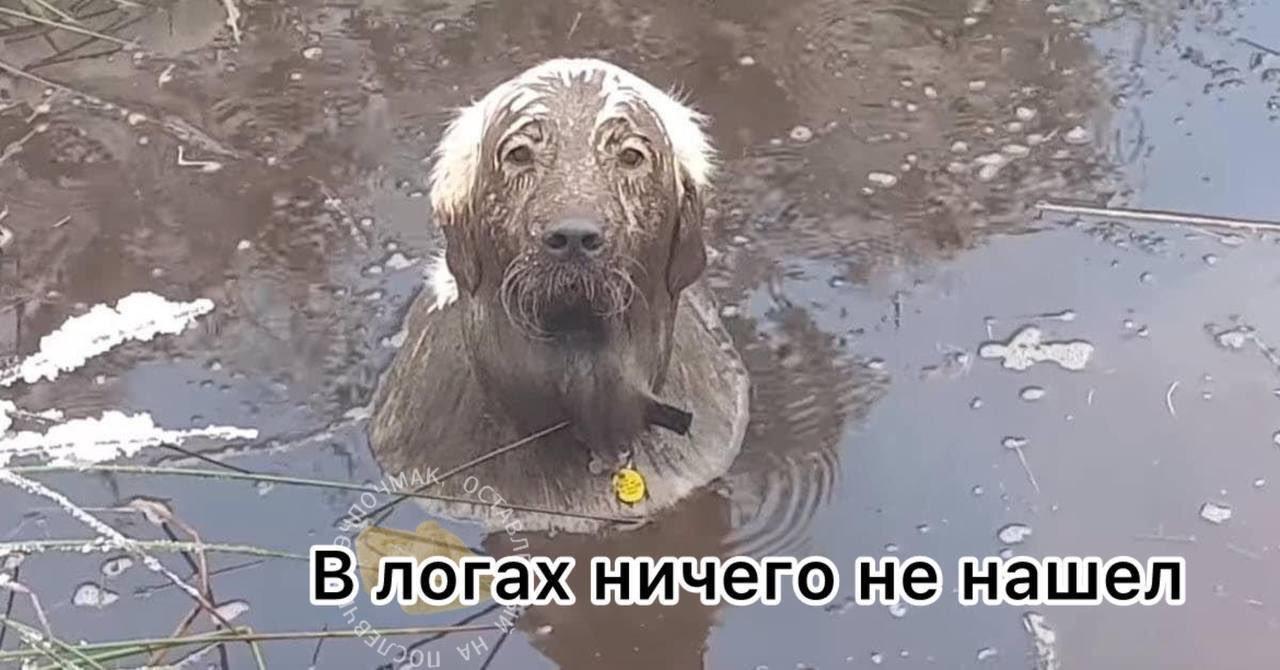 4 7 я a (2 a a a С, is В a у к 7 vies "6 В огажничего:ненашел fis 5. —A у я