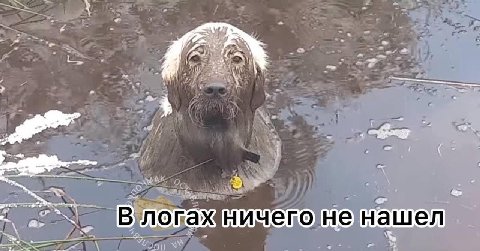 4 7 я a (2 a a a С, is В a у к 7 vies "6 В огажничего:ненашел fis 5. —A у я
