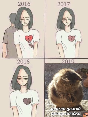2016 2017 2018 6