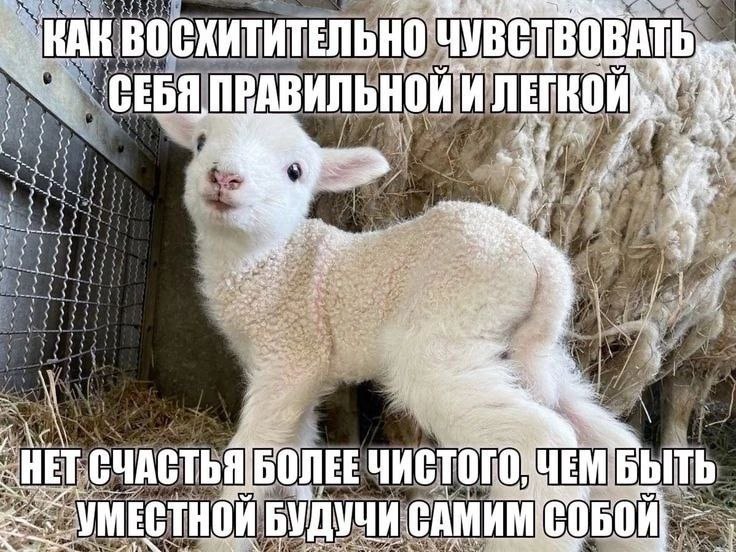HAR ВОСХИТИТЕЛЬНО ЧУВСТВОВАТ СЕБЯ, bee a a БОЛЕЕ Чистого БЫТЬ HET СЧАСТЬЯ УМЕСТН УЧИ САМИМ