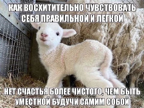 HAR ВОСХИТИТЕЛЬНО ЧУВСТВОВАТ СЕБЯ, bee a a БОЛЕЕ Чистого БЫТЬ HET СЧАСТЬЯ УМЕСТН УЧИ САМИМ