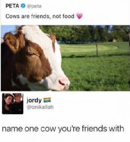 PETA @peta Cows are friends, not jordy @onikallah name one cow you're friends with