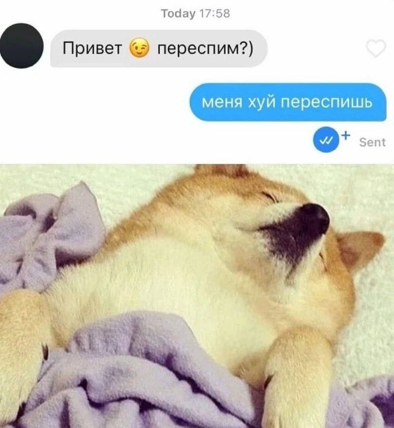 Today 17:58 Привет переспим?) меня хуй переспишь {5