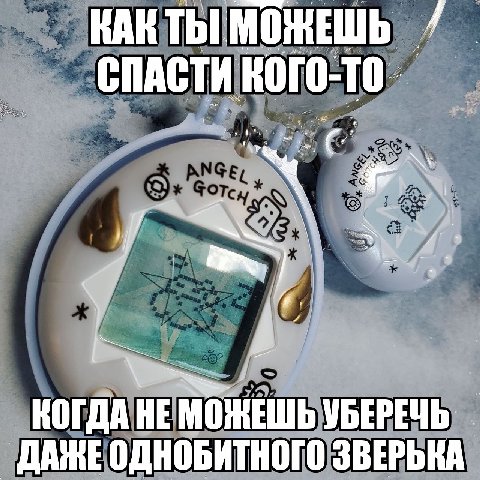 КАКТЫ МОЖЕШЬ 4 КОГДА НЕ УБЕРЕЧЬ ДАНЕ ОДНОБИТНОГО ЗВЕРЬКА