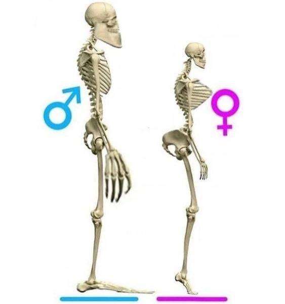 iN