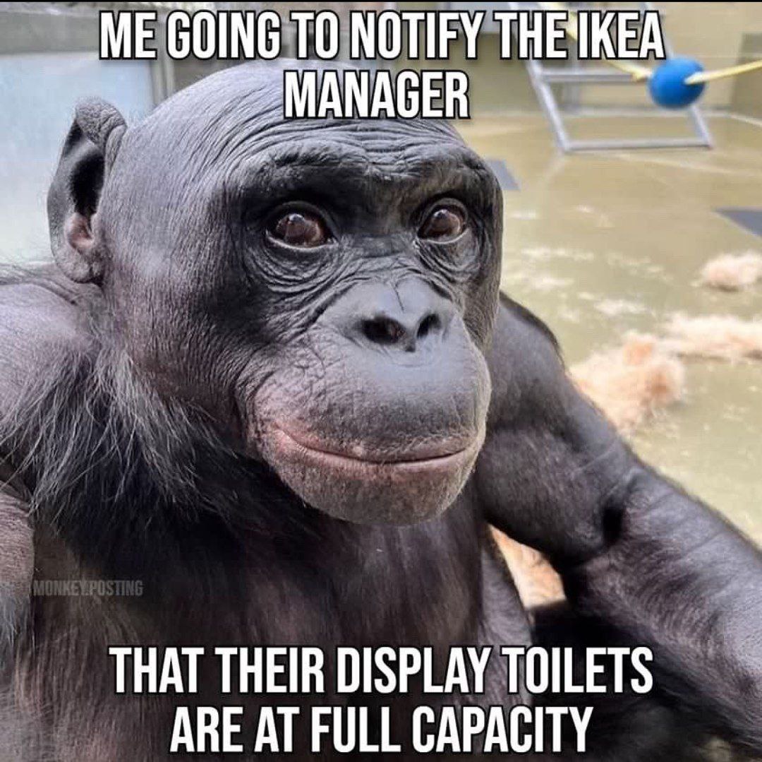 GOING TO NOTIFY ТНЕЧКЕА THAT THEIR DISPLAY TOILETS ARE AT FULL CAPACITY