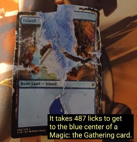 Island у, У Basic Land Island A К takes 487 licks to get to the blue center of a 5 Magic the Gathering card
