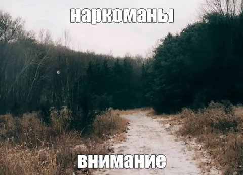 наркоманы внимание