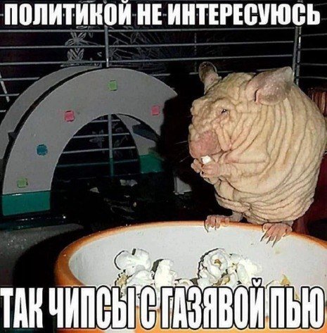 ПОЛИТИНОЙ НЕ ИНТЕРЕСУЮСЬ TAK