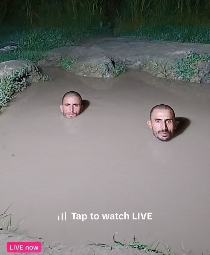 Tap to watch LIVE LIVE now