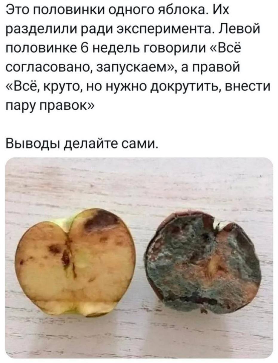 Это половинки одного яблока. разделили ради эксперимента. Левой половинке 6 недель говорили «Всё согласовано, запускаем», а правой «Всё, круто, но нужно докрутить, внести пару правок» Выводы делайте с