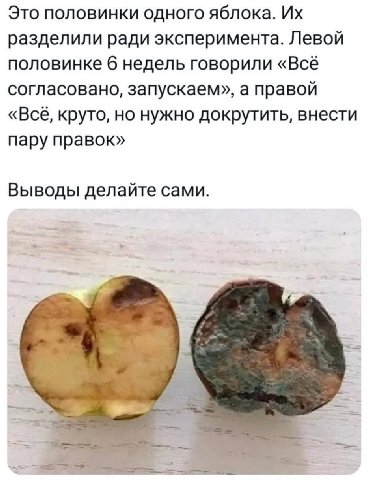 Это половинки одного яблока. разделили ради эксперимента. Левой половинке 6 недель говорили «Всё согласовано, запускаем», а правой «Всё, круто, но нужно докрутить, внести пару правок» Выводы делайте с