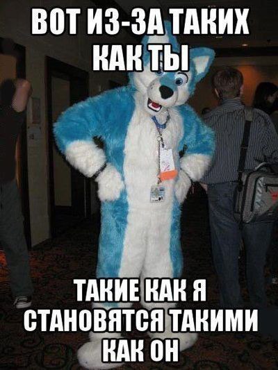 BOT ИЗ-ЗА ТАКИХ КАКТЫ. ТАКИЕ КАК Я СТАНОВЯТСЯ ТАКИМИ КАНОН