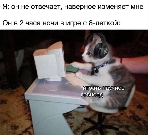 Я: он не отвечает, наверное изменяет мне Он в 2 часа ночи в игре с 8-леткой: в научись говноед