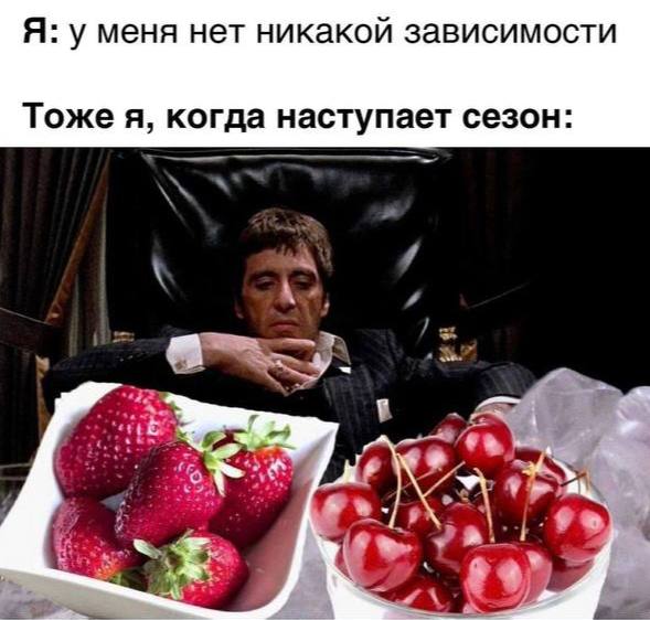 Я: у меня нет никакой зависимости Тоже я, когда наступает сезон: A 59,
