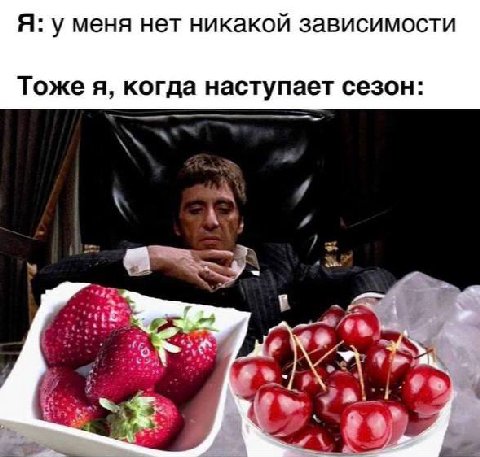 Я: у меня нет никакой зависимости Тоже я, когда наступает сезон: A 59,