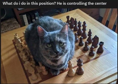 What i in this position? Не is controlling the center 3 1 «У
