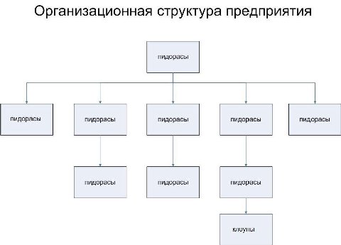 Организационная структура предприятия