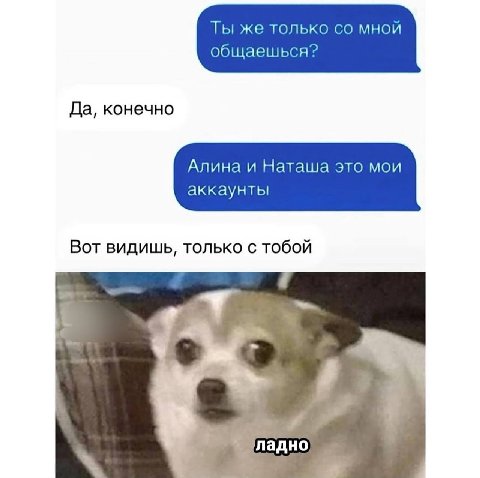 Ты же только мной общаешься? Да, конечно Алина и Наташа это мои аккаунты Вот видишь, только с тобой