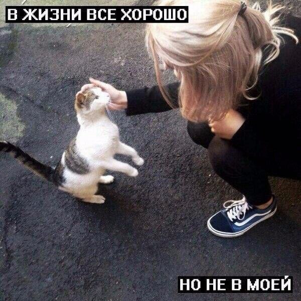 В ЖИЗНИ ВСЕ ХОРОШО НО НЕ В МОЕИ