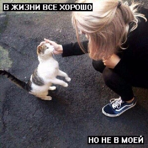 В ЖИЗНИ ВСЕ ХОРОШО НО НЕ В МОЕИ