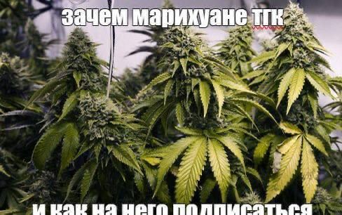 зачем и