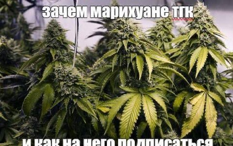 зачем и