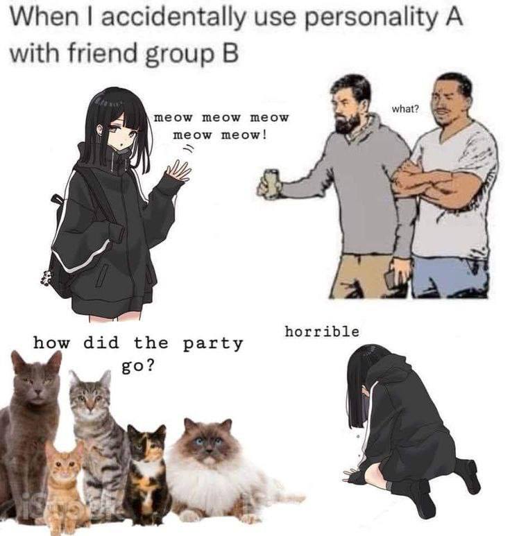 When accidentally use personality А with friend group what? meow meow meow meow meow! horrible how did the party