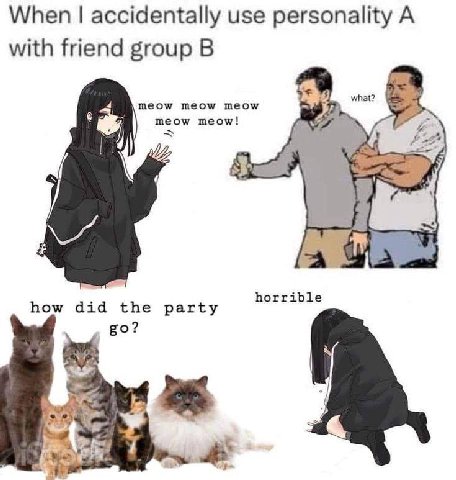 When accidentally use personality А with friend group what? meow meow meow meow meow! horrible how did the party