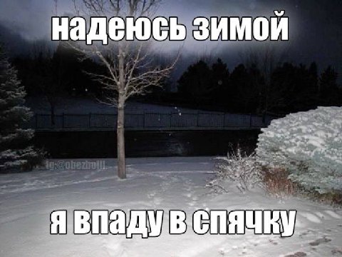 надеюсь зимой С аду